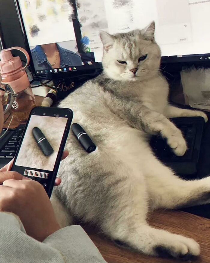 04-16-39-161961716638662630