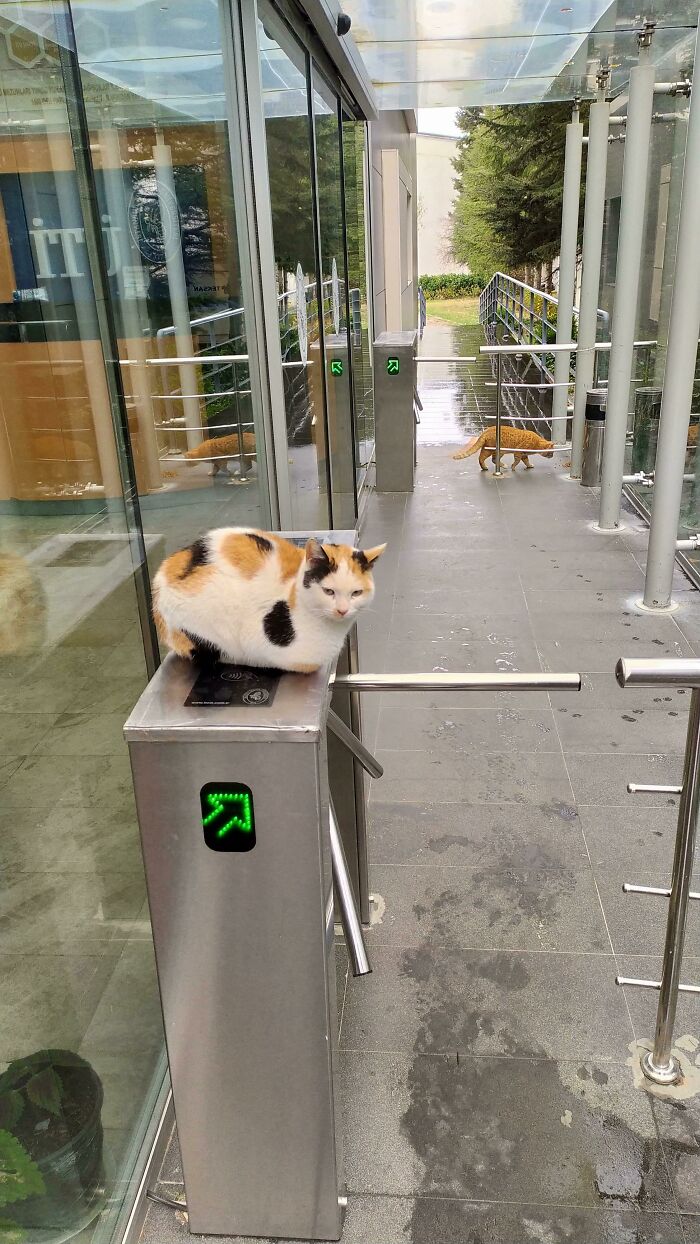 04-16-39-1619617168597486077