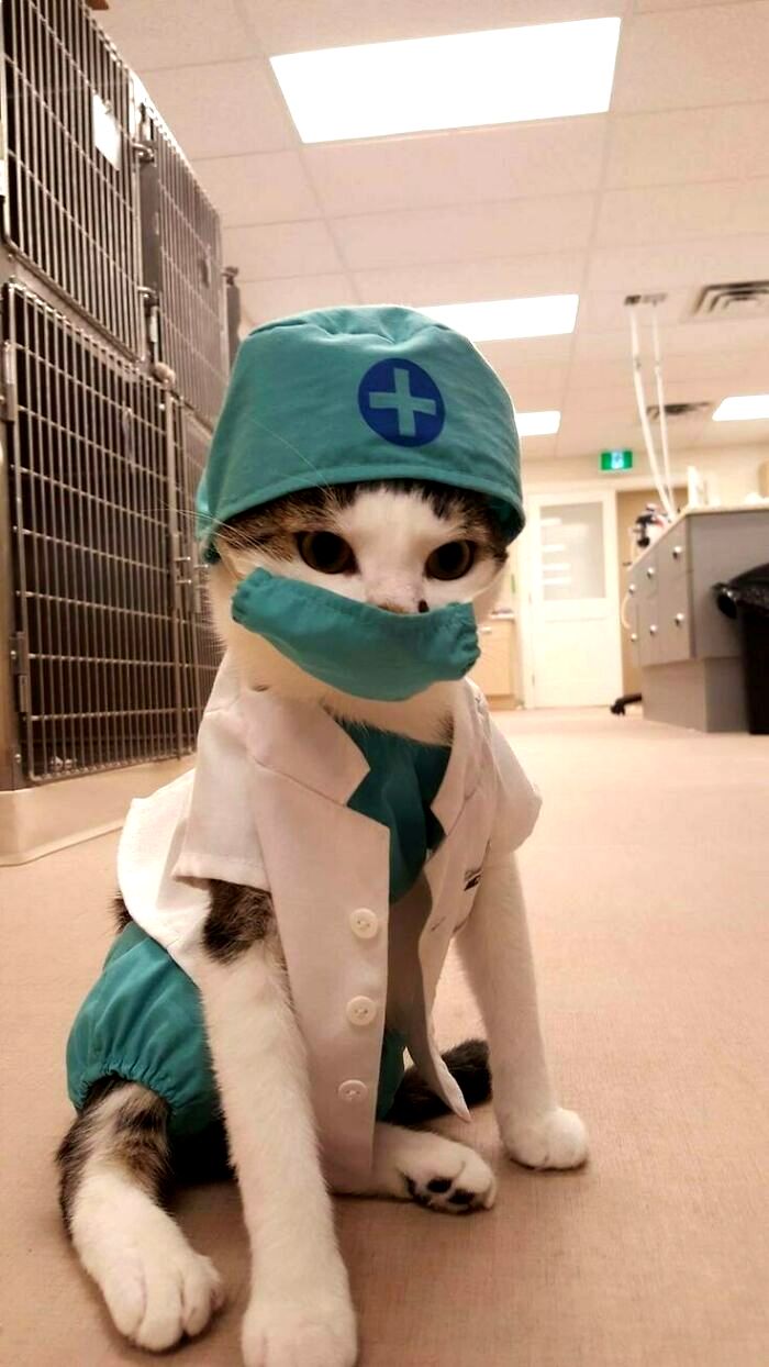 04-16-39-16196171691822251329