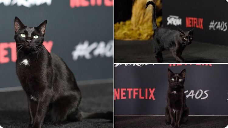 04-16-39-1619617169273550598