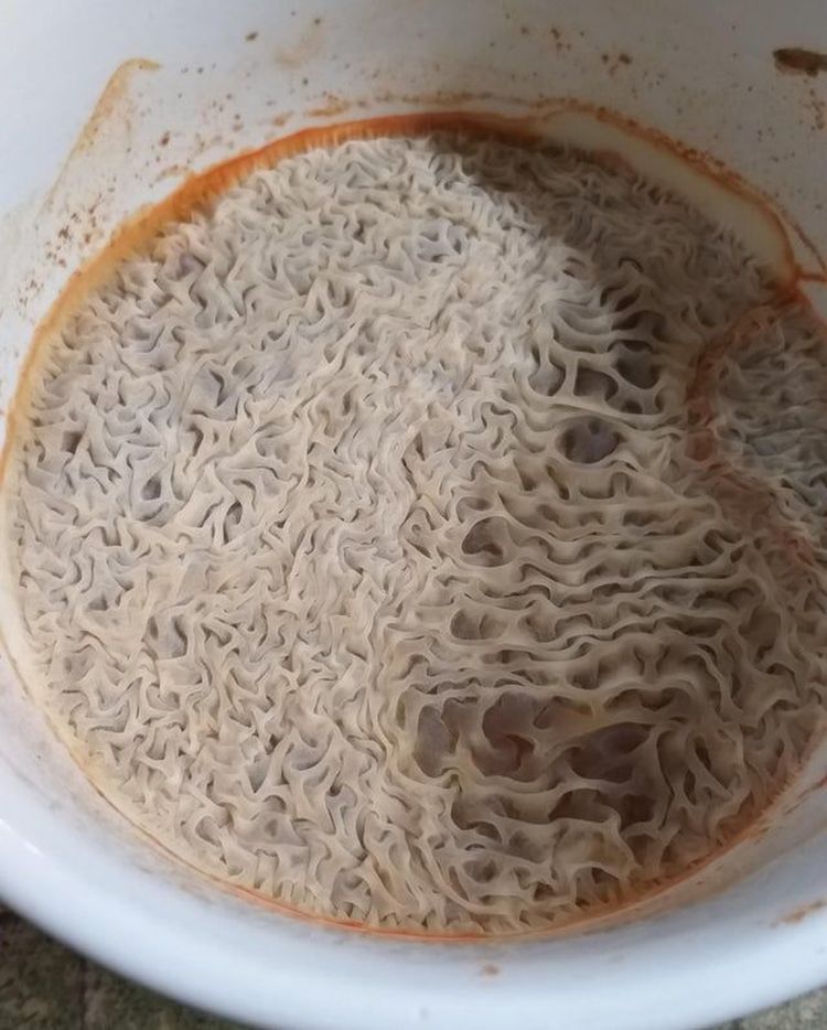 04-16-47-1618494446183483637