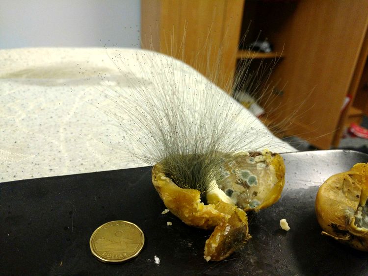 04-16-47-1618494452630115662