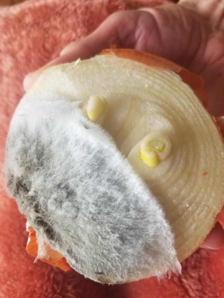 04-16-47-16184944611469777057