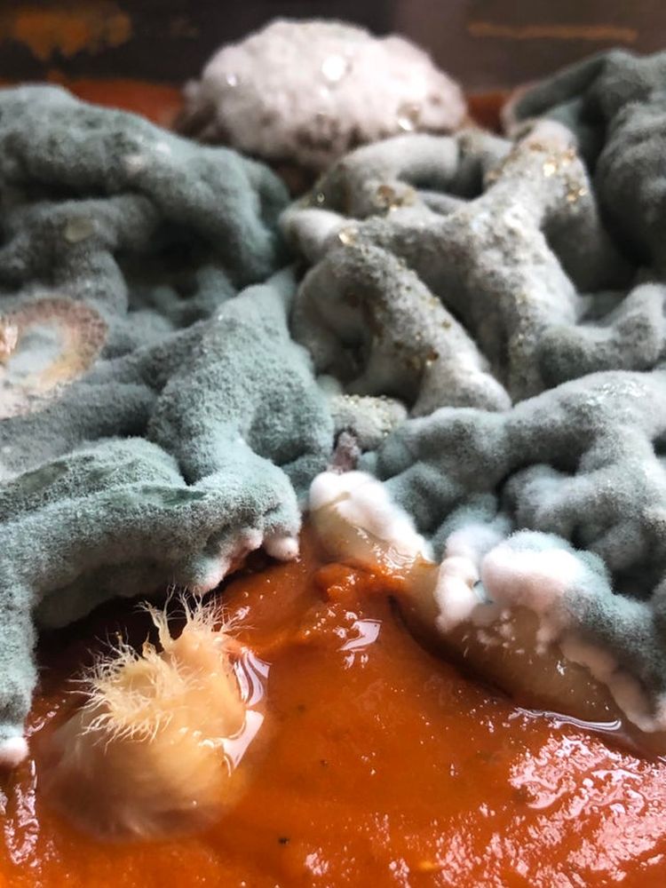 04-16-47-16184944711486828727