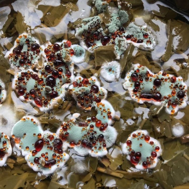 04-16-48-16184944951769694360