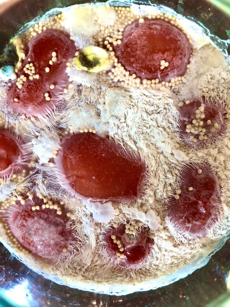 04-16-48-16184945031457055505