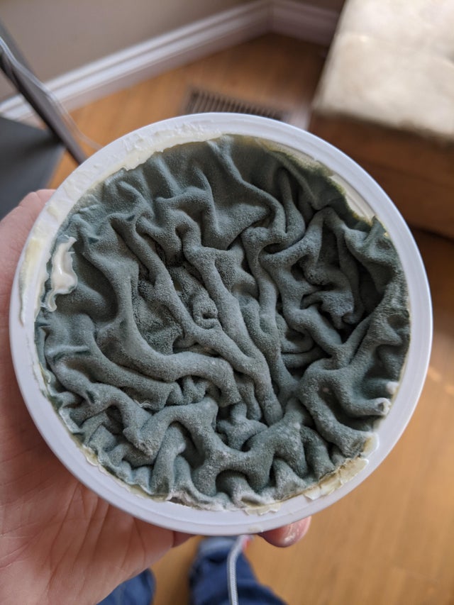 04-16-48-1618494510345993617