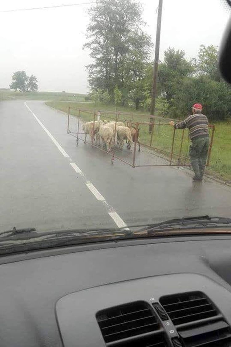 04-17-15-1618496145638900606