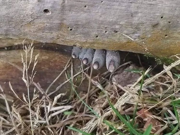 04-17-39-16191887592145599554