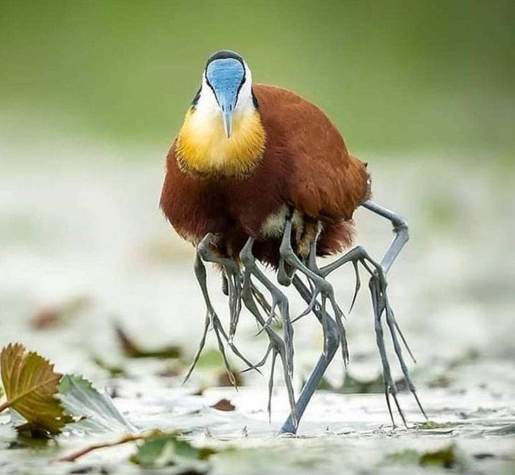 04-17-39-161918876465666203