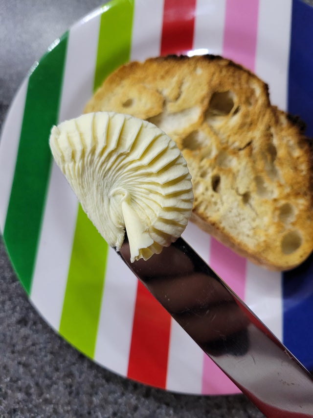 04-18-03-1618499018437717229