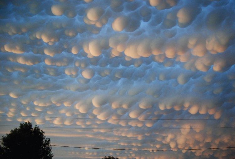 04-18-06-16184991881474626456