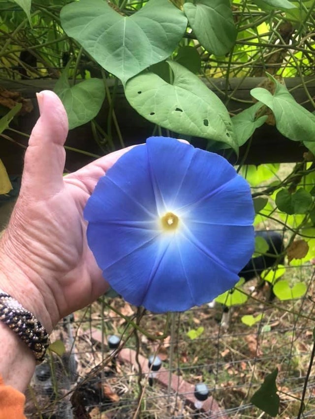 04-18-07-1618499251137513301