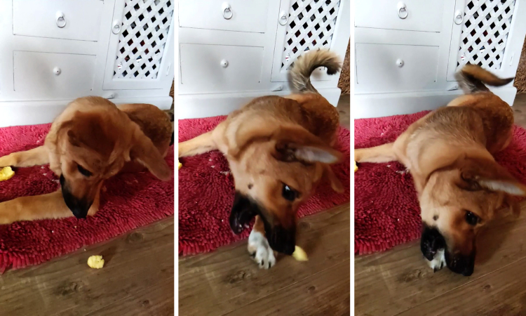 04-20-21-16191120821655513524