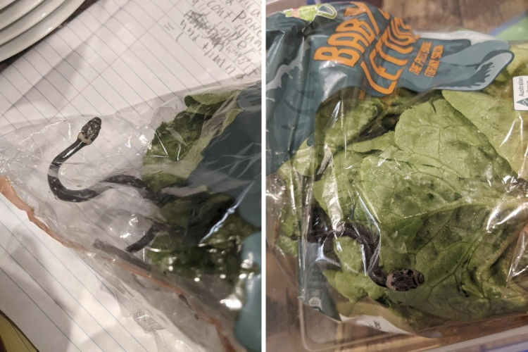 04-20-29-16191125411698774370