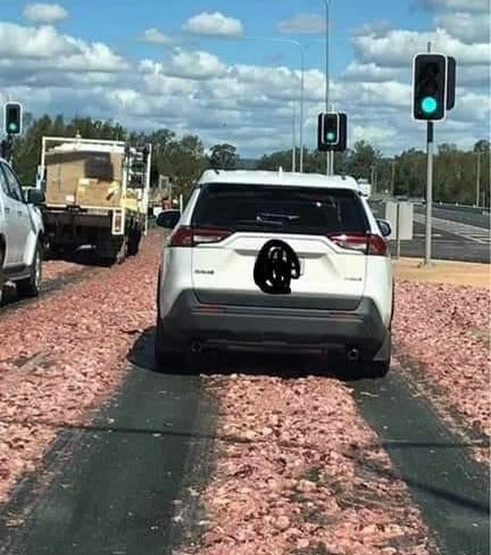 04-20-29-16191125781319606968