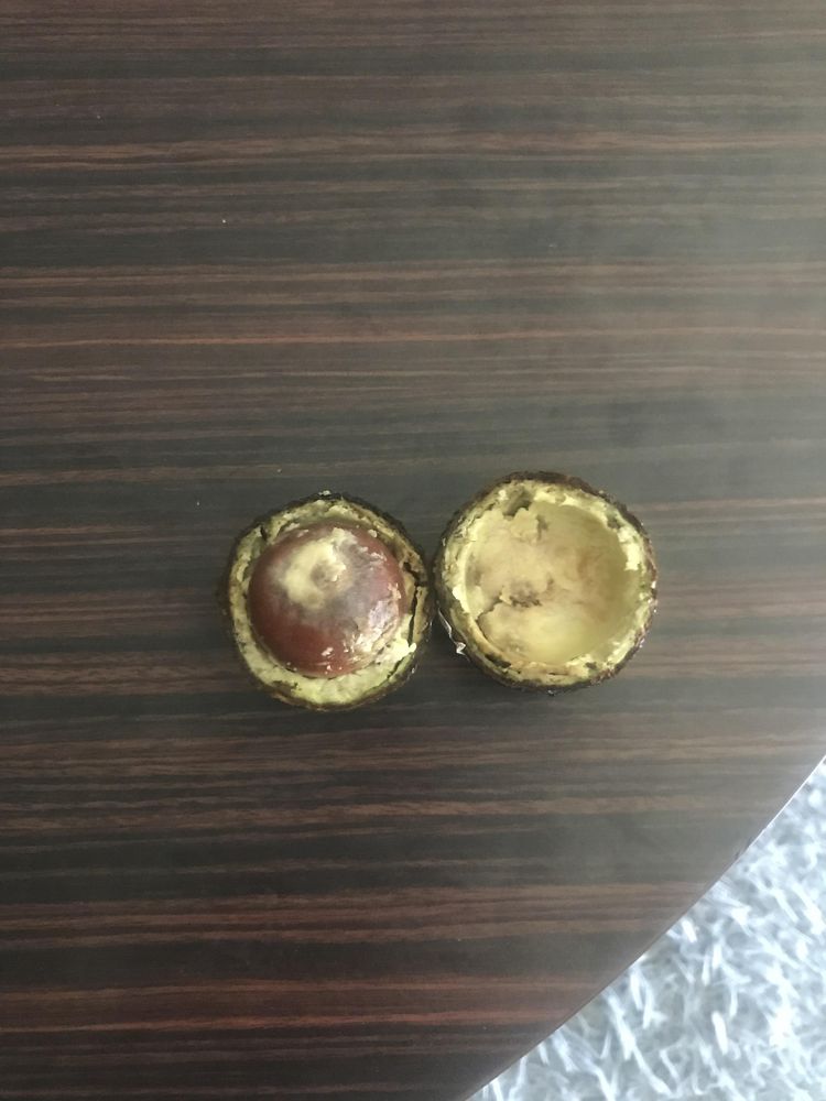 04-20-30-1619112620397130130