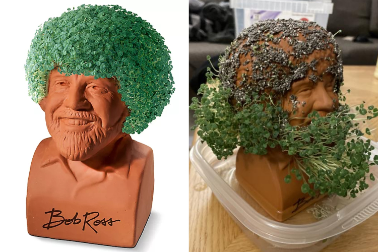 04-20-39-16197179991929291124