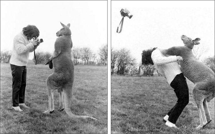 04-20-40-16197180002009124755