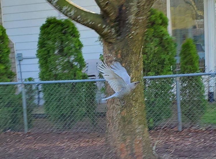 04-21-17-16185106551506434233