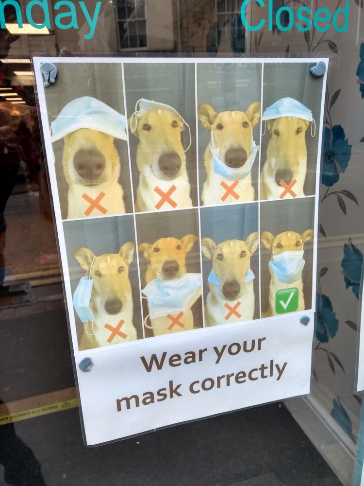 04-21-17-16185106581792798049