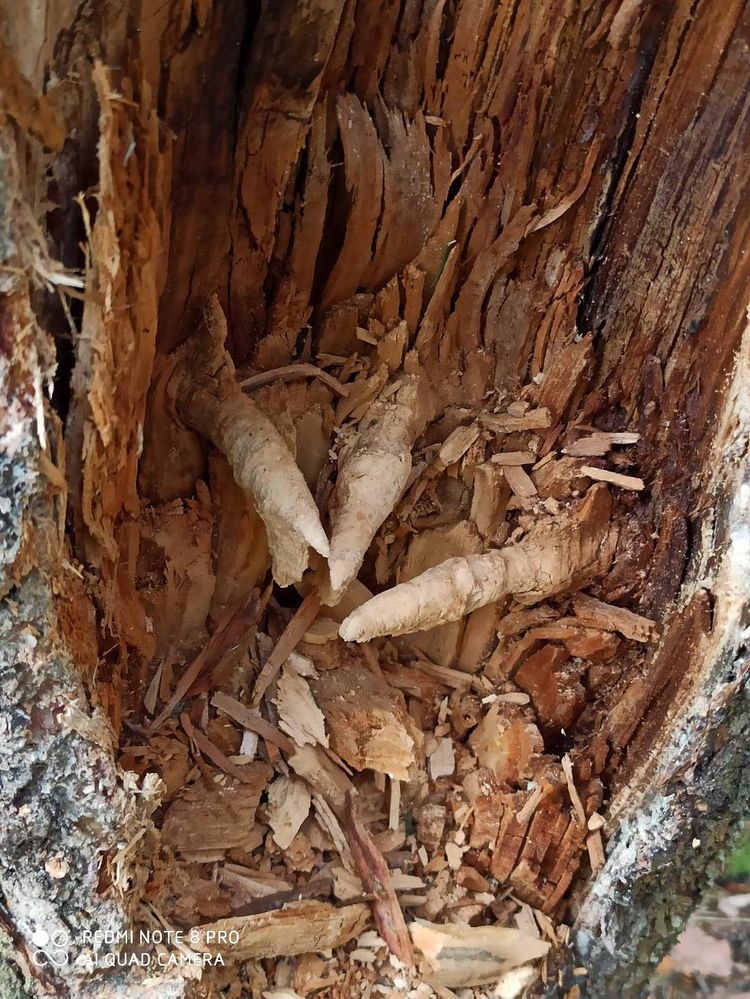 04-21-34-1618943676806745202