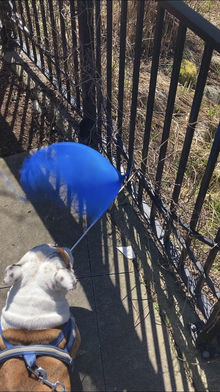 04-21-34-16189436781134738217