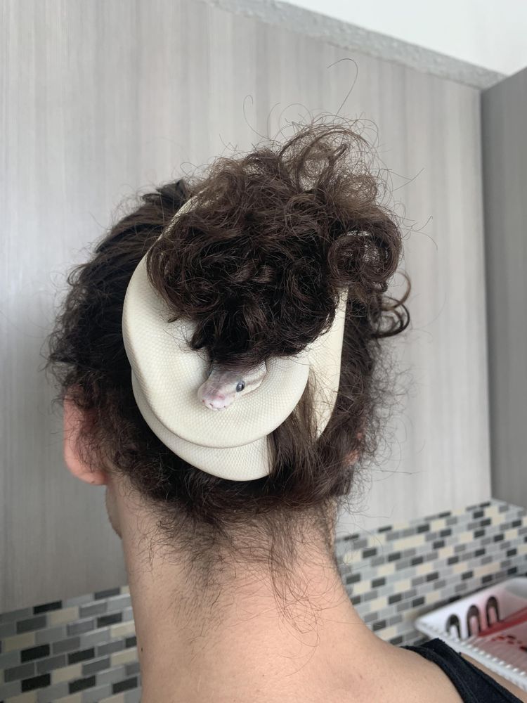 04-21-55-16196361421936035722