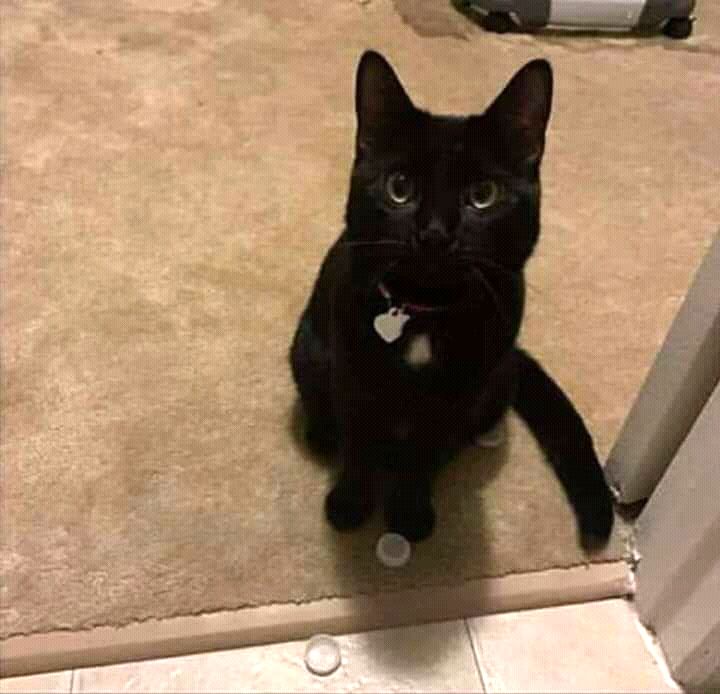 04-22-04-16197230581306801317