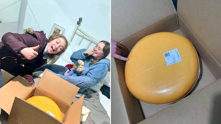 04-22-04-16197230581469828889