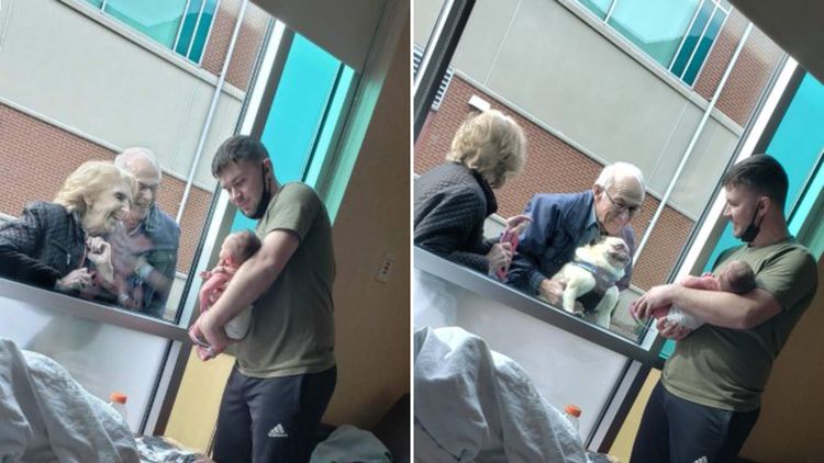 04-22-04-161972305820874567