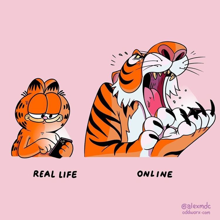 05-10-40-16208916521211655811