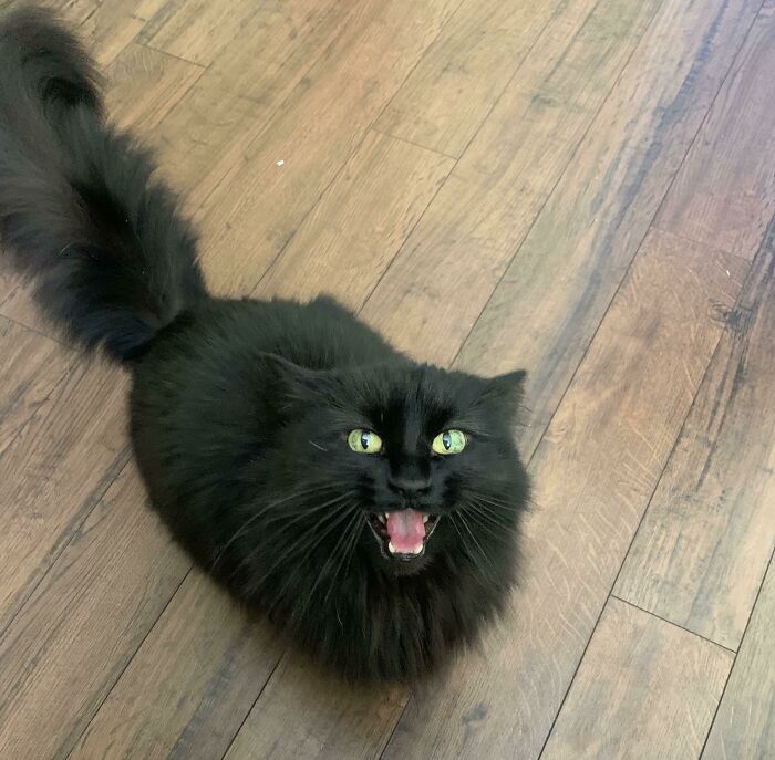 05-10-42-16220149351218927495