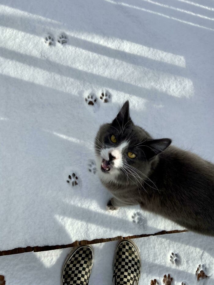 05-10-42-16220149441468814371