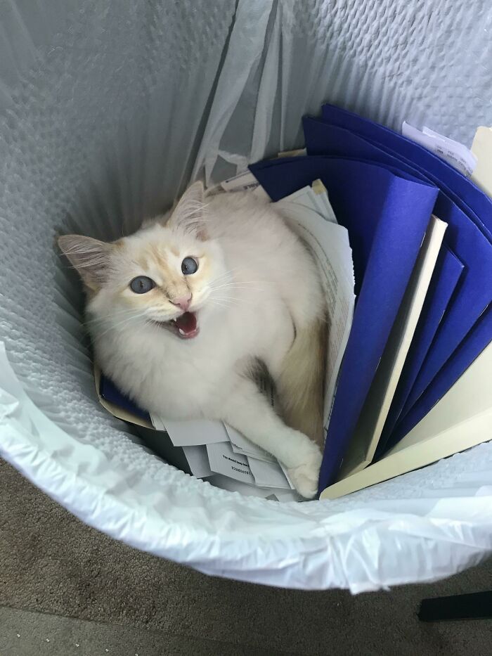 05-10-42-162201494750847827