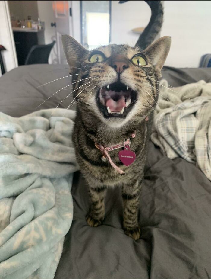 05-10-42-1622014965520912281