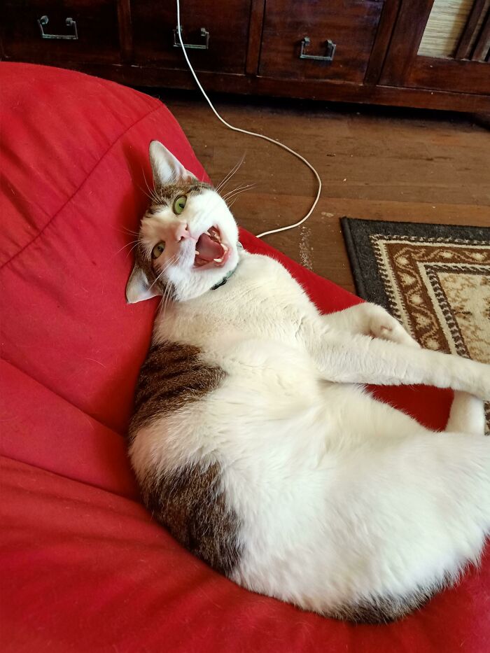 05-10-42-1622014968537527896