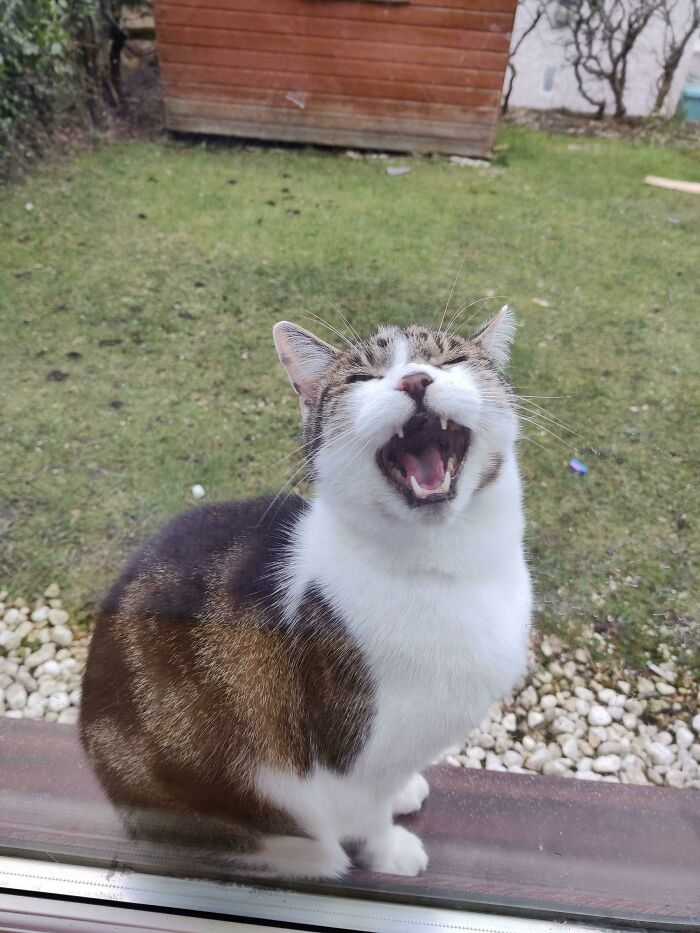 05-10-43-16220149821191432490