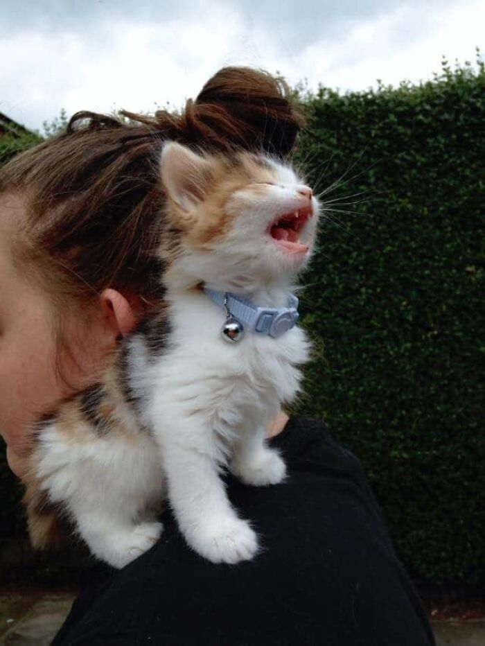 05-10-43-16220149882041383250