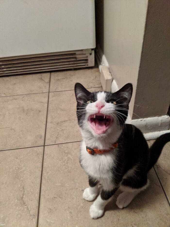 05-10-43-1622015001806630950