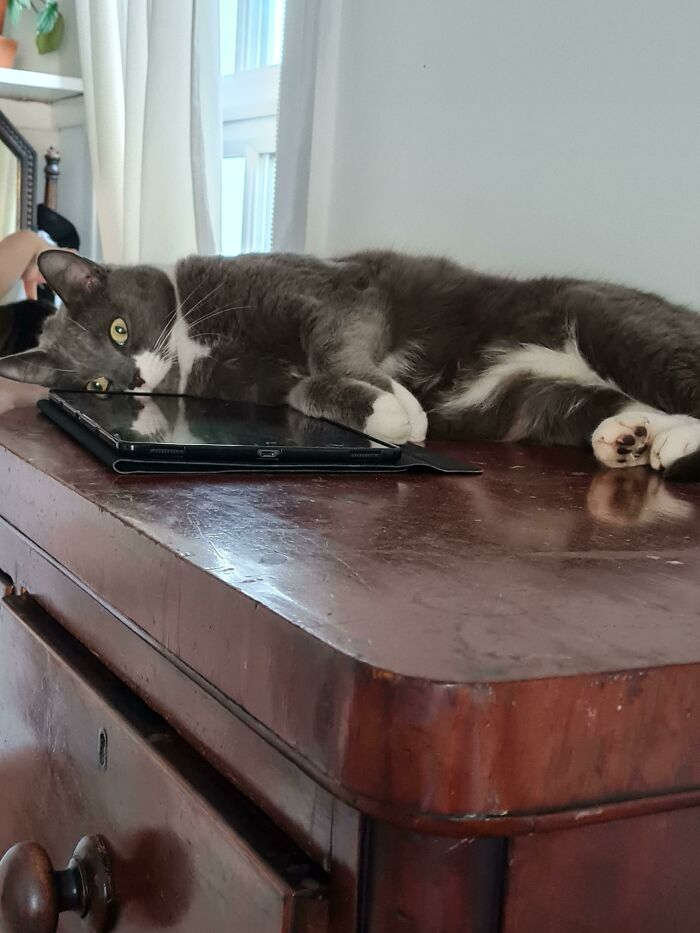 05-10-51-16221018721141125099