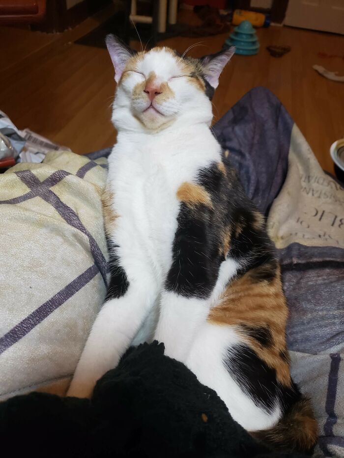 05-10-52-1622101972389697418