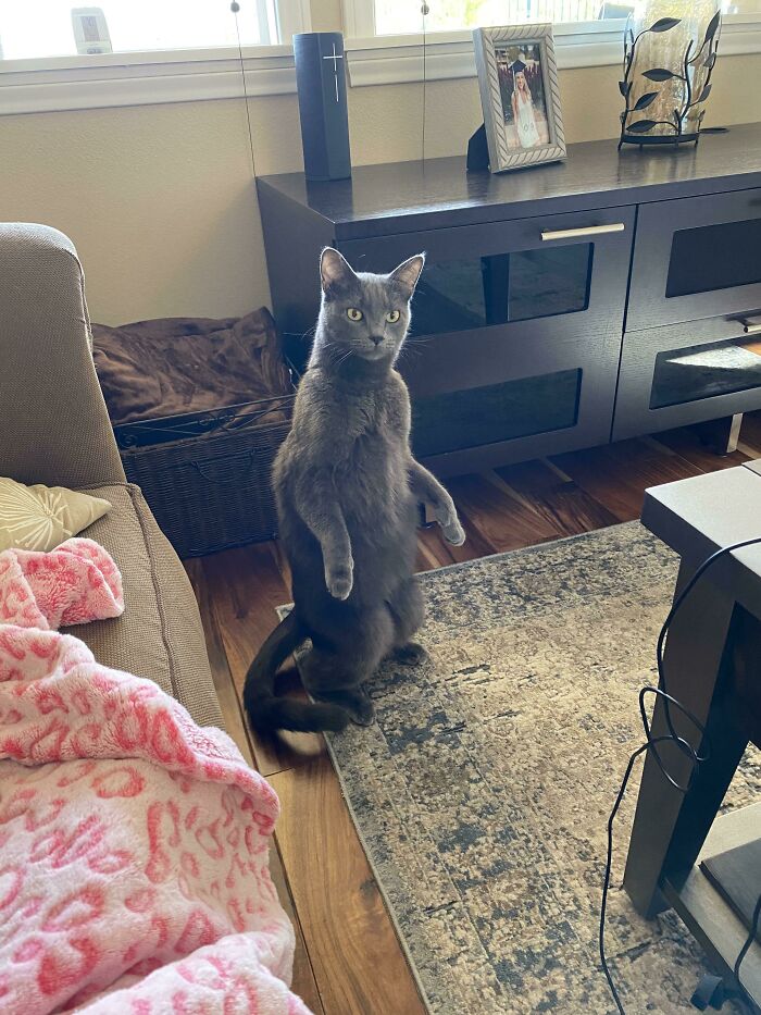 05-10-52-16221019751286765431