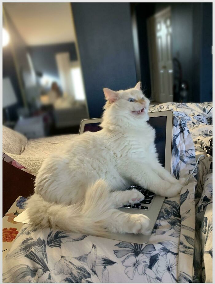 05-10-53-1622101984117996256