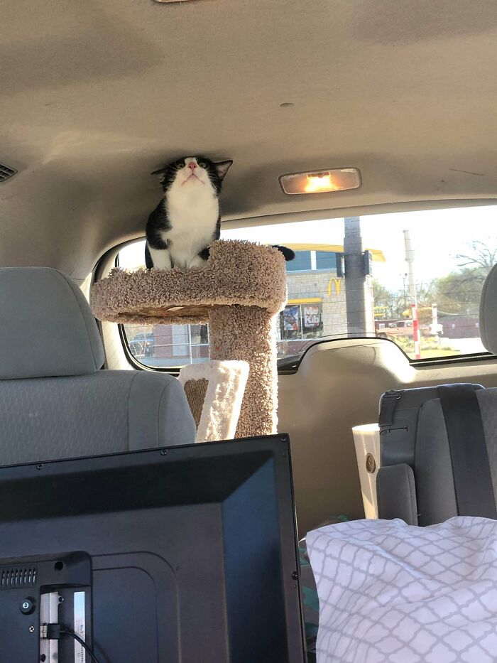 05-10-53-16221019911014391805