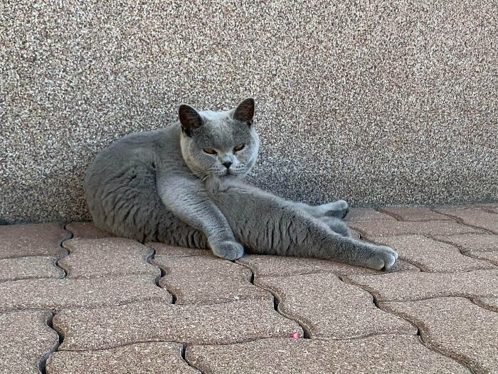 05-10-53-162210199568175014