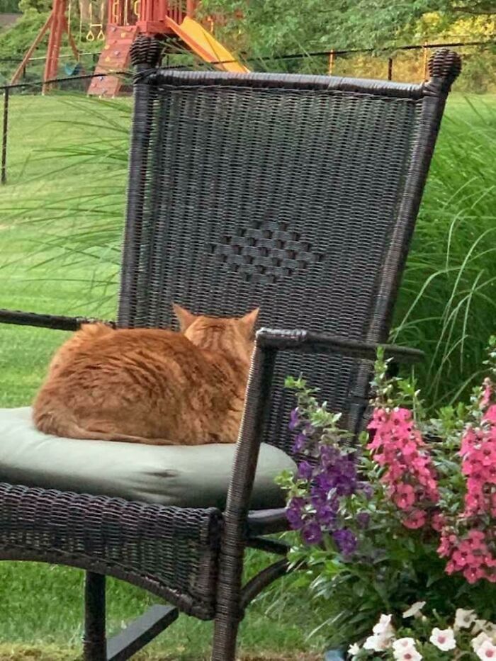 05-10-53-16221019992123183858