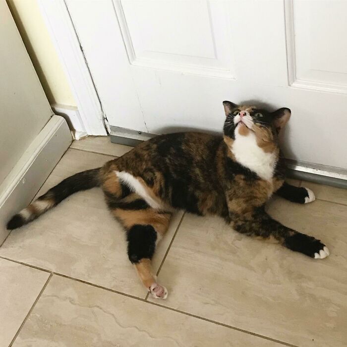 05-10-53-1622102002532617685