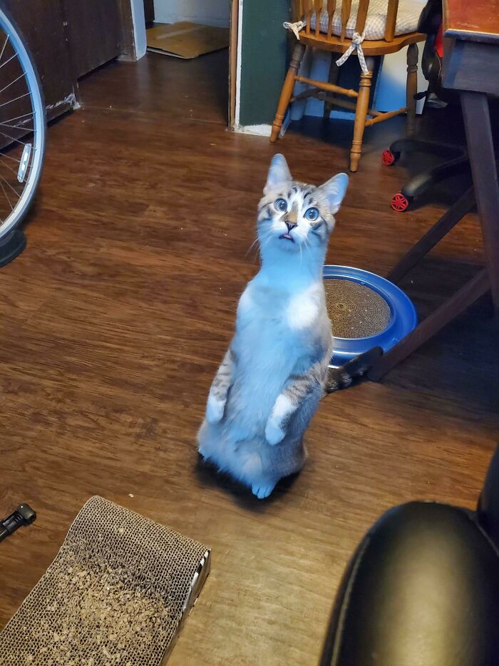 05-10-53-1622102022117653927