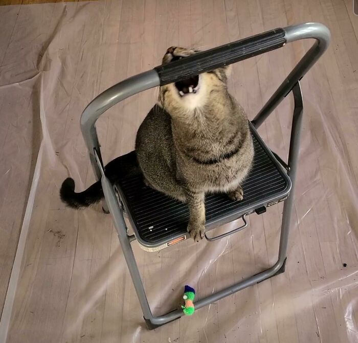 05-10-53-16221020301529045555